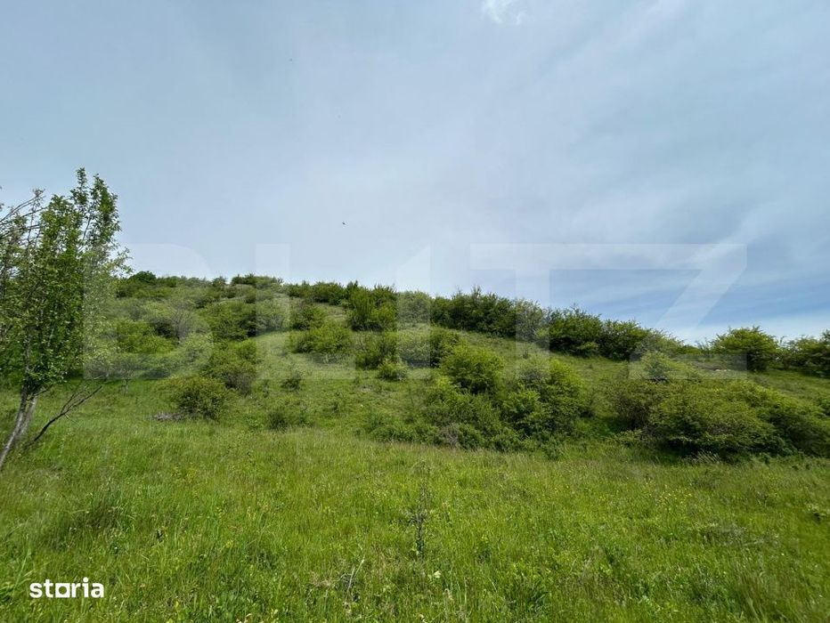 Proprietate exclusivista cu potential urias in Bunesti, judetul Cluj!