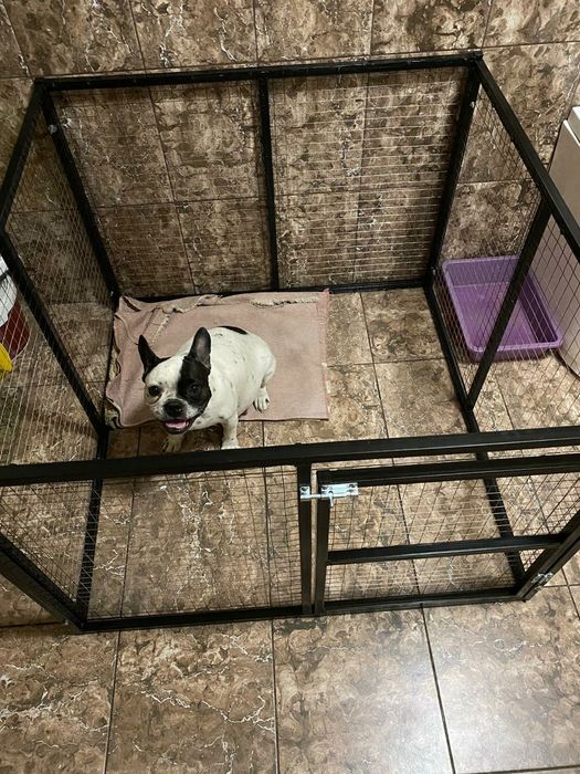 Вольер в квартиру