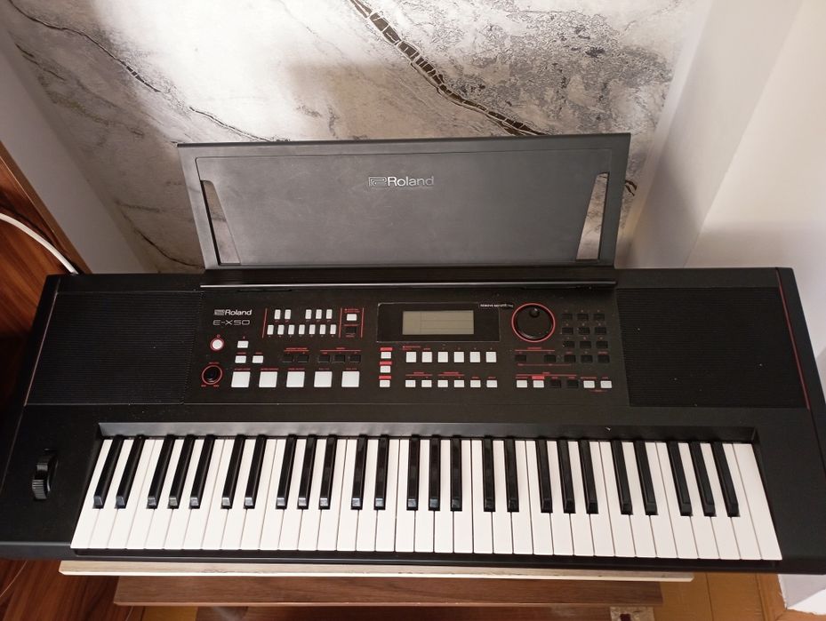 Pionina:ROLAND E-X50