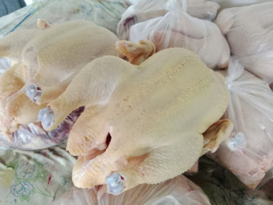 Бройлеров Куры свежий