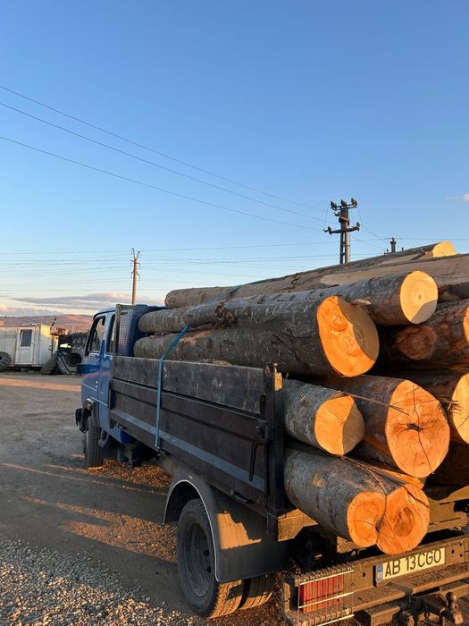 Vand Lemne de Foc Fag