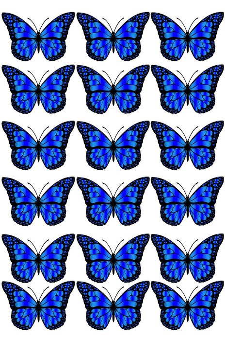 Guldasta uchun kapalak rasm