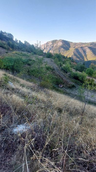 Продава се земя в с. Лъкавица