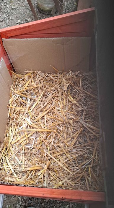 Кокошарник за открито с 1 отделение за яйца, дървен