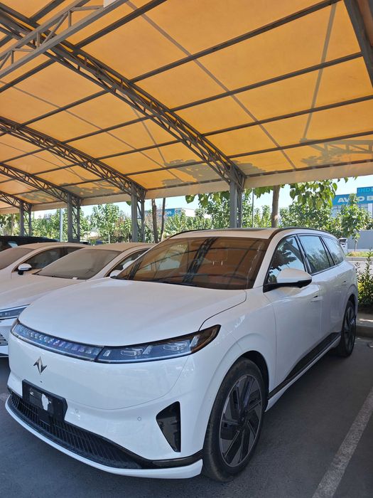 Dongfeng 008 Elektr B.U.