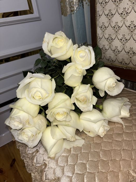 Очень красивые белые розы