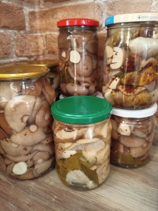 Грибы маринованные сезон 2025