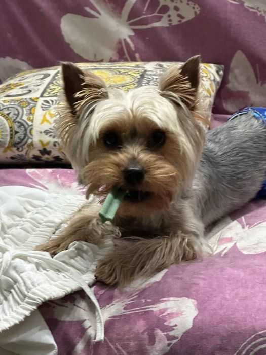 Связка с девочкой