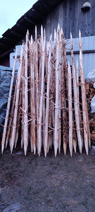 Prepelecii tradiționali