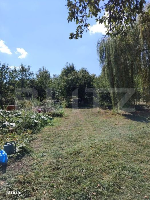Casa cu teren, livada, lac si izvor - ideala pentru locuinta sau inves