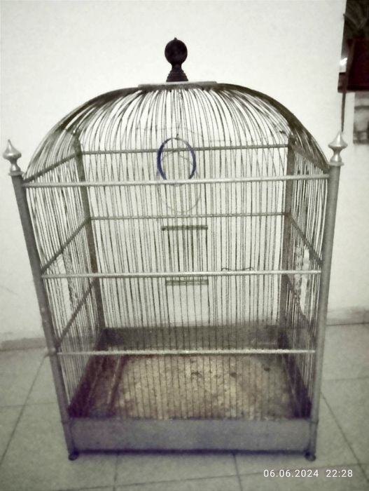 Тутикуш Сава канарейка ва бошка Катта кушларга буй 1 20 30х50