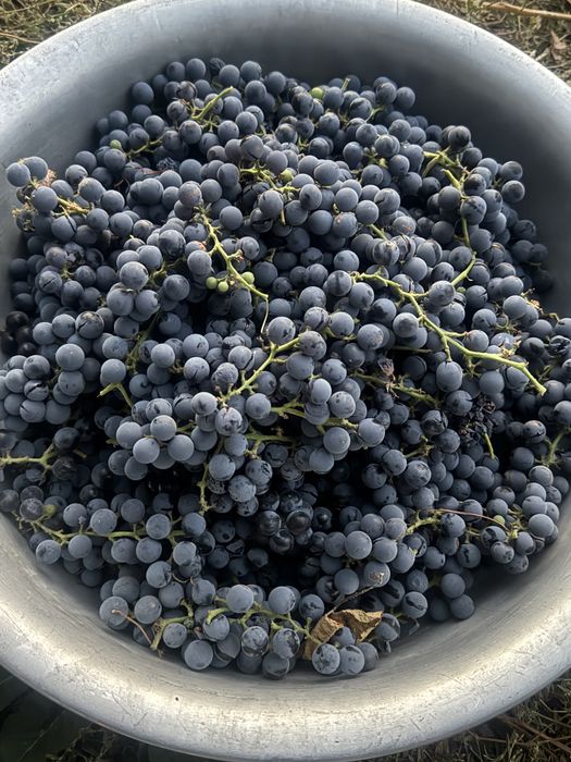 Продам дачу на берегу озера, СРОЧНО!