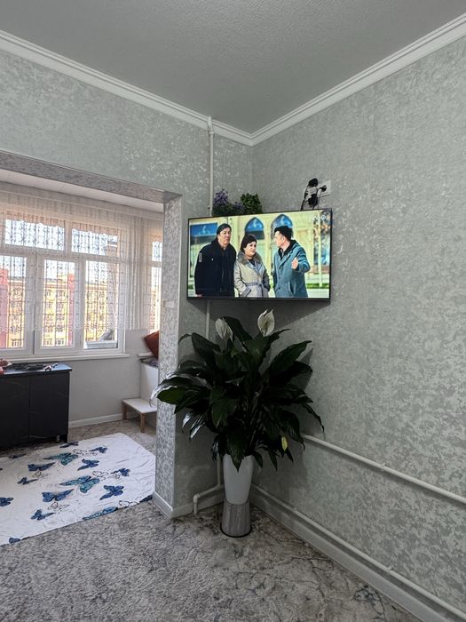 Продаю цвети гегант