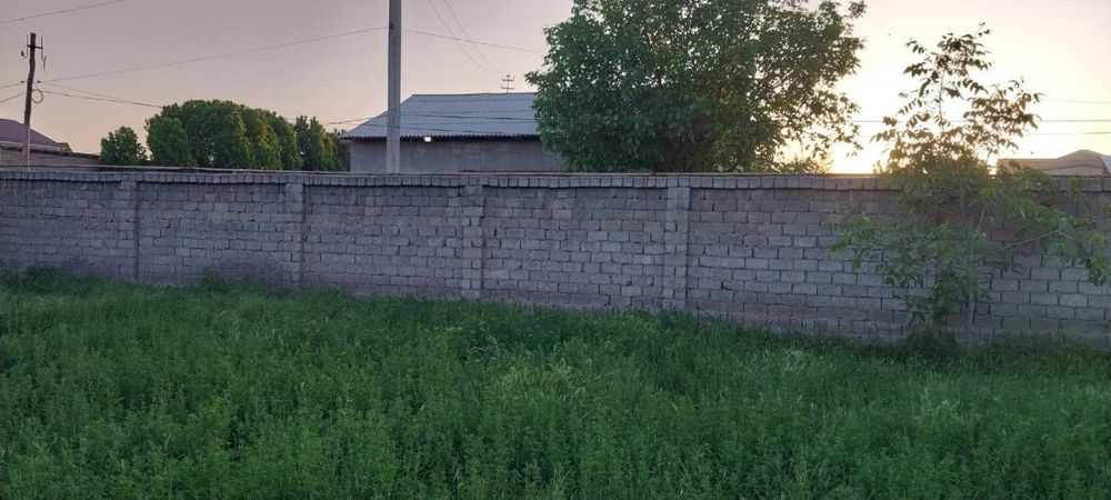 тезда сотамиз участкамиззи