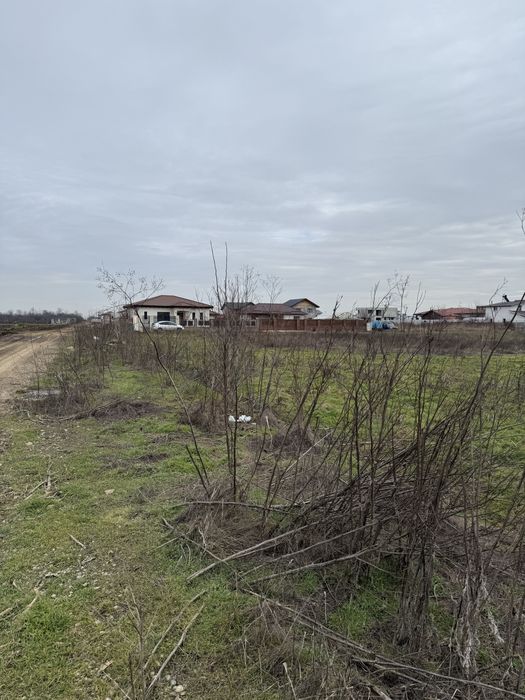 Suprafata 5000 mp sau 2500 mp De vinzare Sau Inchiriere 1Euro Mp