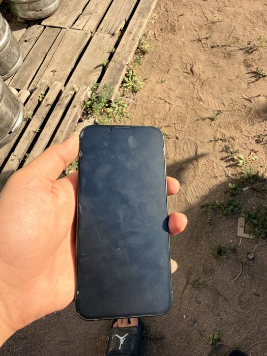 iPhone 13  Green