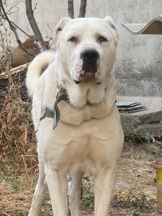 Кабель на вязку супер тяж