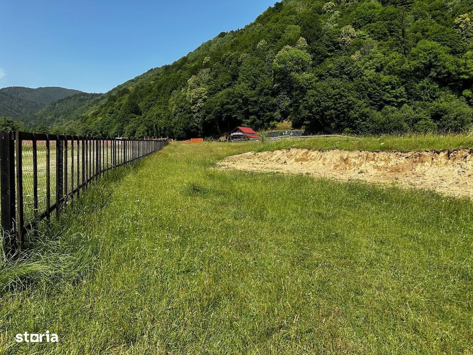 Teren intravilan - 1117 mp în Plaiul Foii