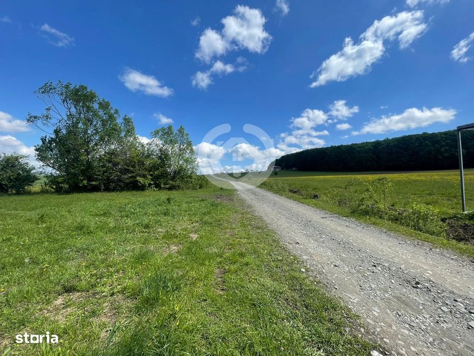 Teren extravilan | 600 mp | Deschidere 15 ml | Tocile, Sibiu