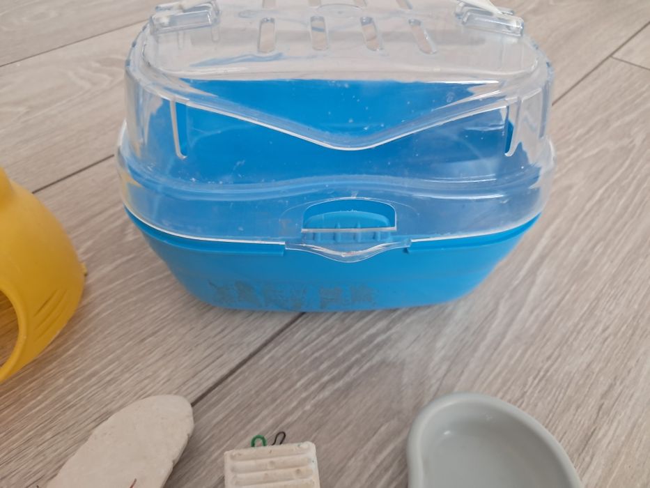 Хомячки все для них.