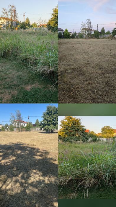 Ofer servicii de curățare și întreținere terenuri,curții.