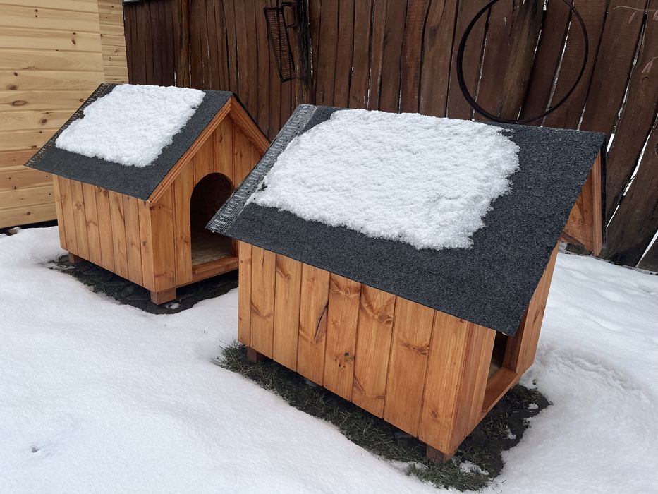 Cusca de caine, mai multe marimi