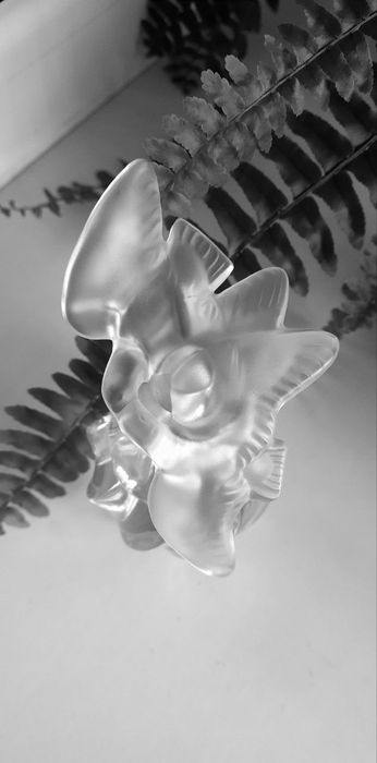 Дух Времени Nina Ricci