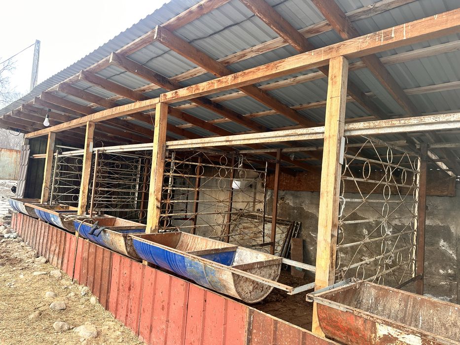 Продается Фазенда