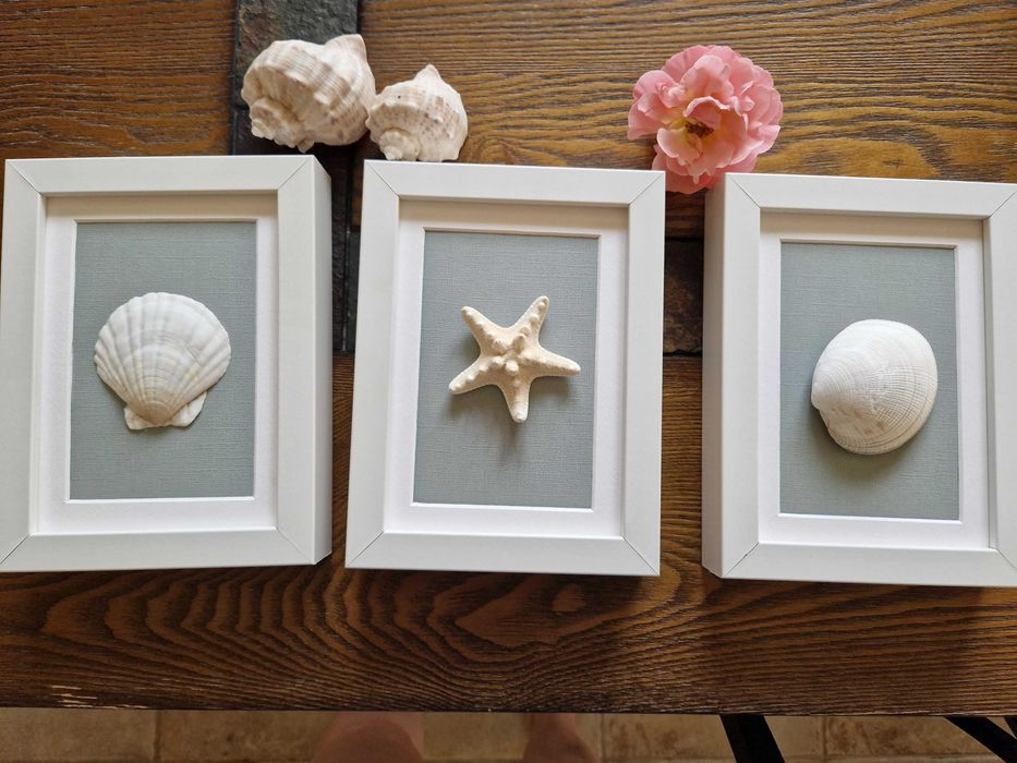 Tablouri unicat cochilii scoici pentru baie, hol, camera copil etc