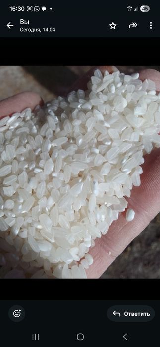 Лидер күріш бар 2 тонна