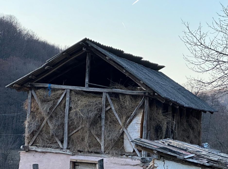 Fan de vanzare in cantitate mare cosir in 2025