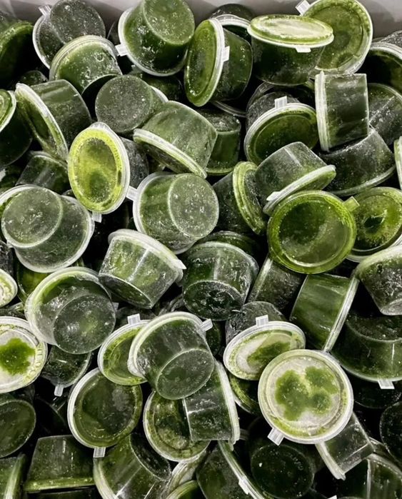 Витграсс. Всегда в наличии