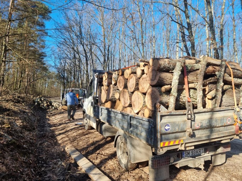 Lemne de foc esenta tare