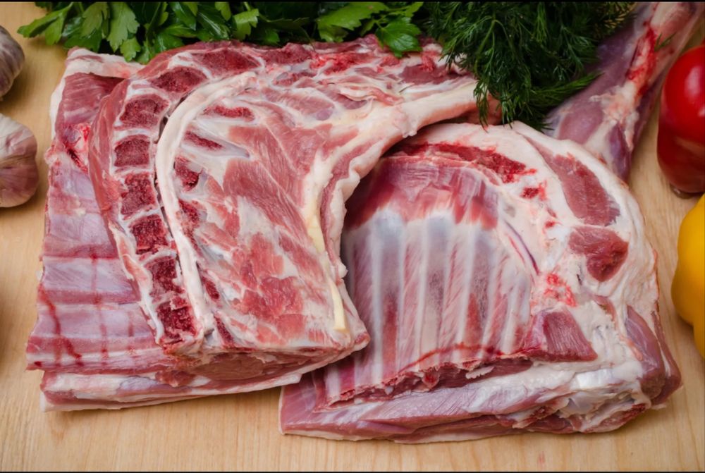 МЯСО, баранина ( молодняк)