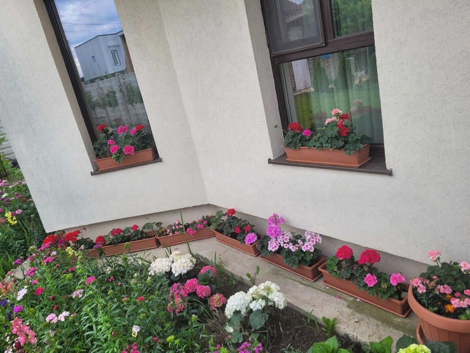 Casa de vanzare Albesti P+M