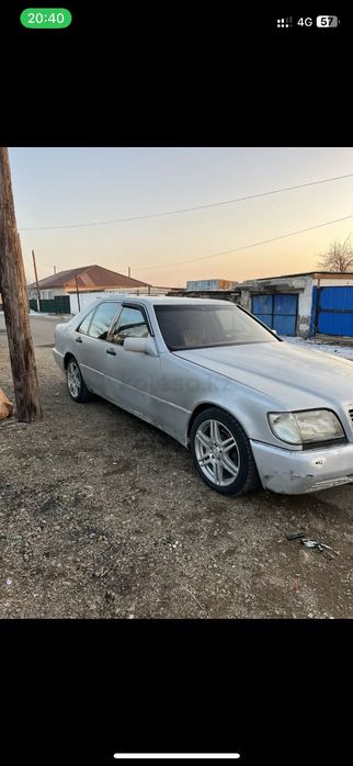 Продам кабана срочно