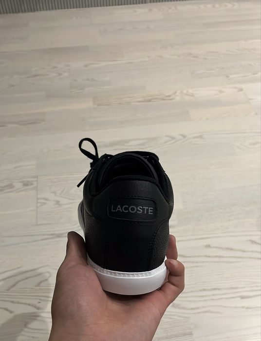 Кеды lacoste лакосте