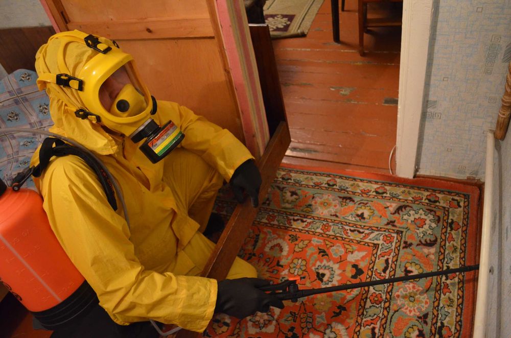 Двойная обработка в один день  добросовестно результат  Сергей (опыт).