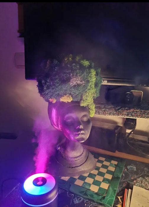 Difuzor de aromaterapie cu uleiuri esentiale si umidificator