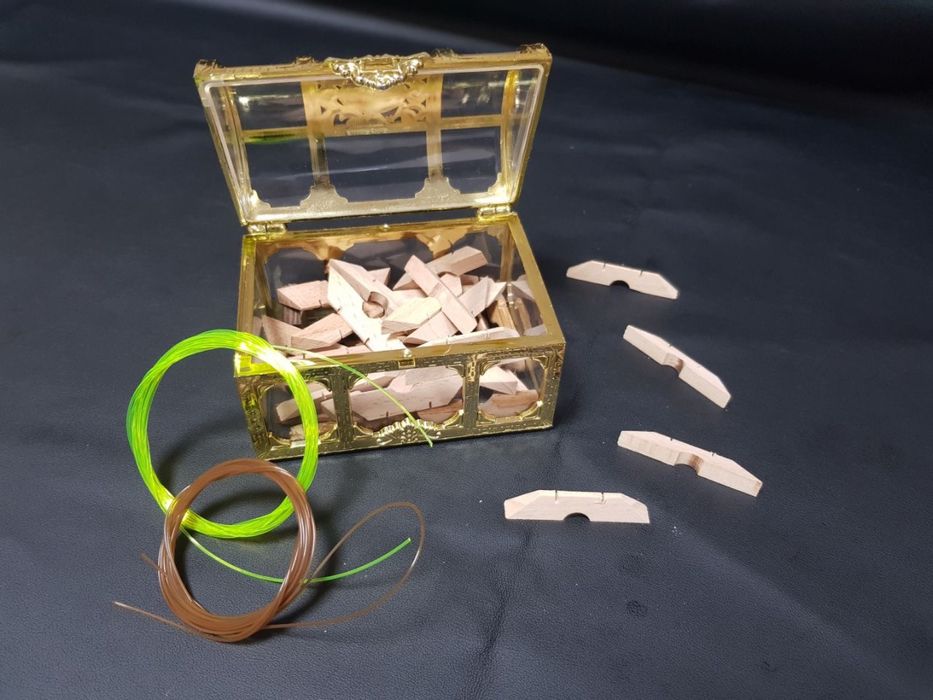 ТИЕК, ішек, құлақ