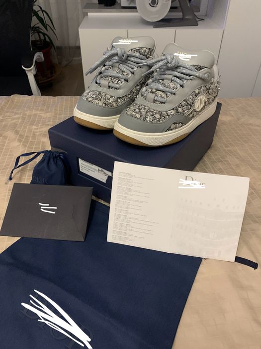 Dior B9s silver skate