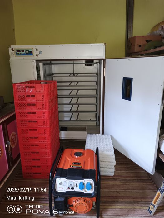 Inkubatir. EKBOKIS. Aftomat 1056