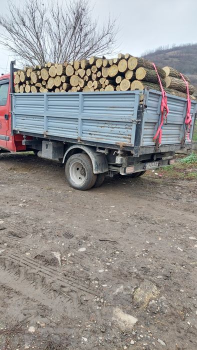 Lemn de foc transport gratuit în jud cluj napoca