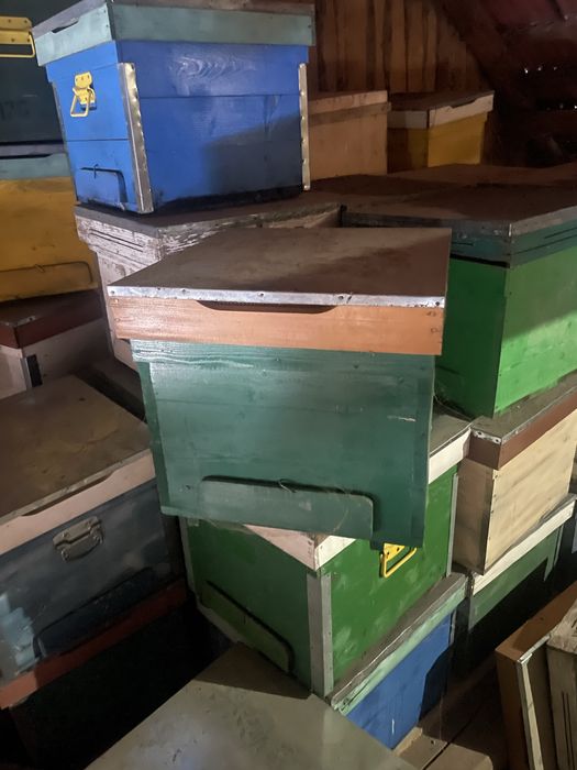 Vand lazi pentru albine