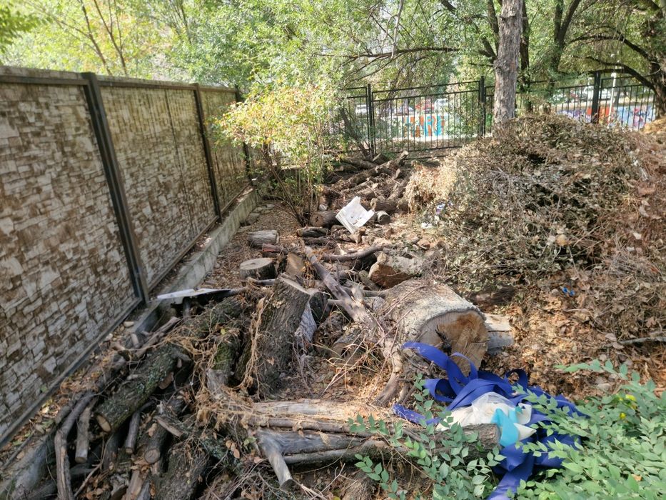 Дрова бесплатно самовывоз