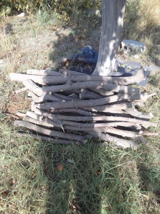 Дрова, Утин келишилган нархда