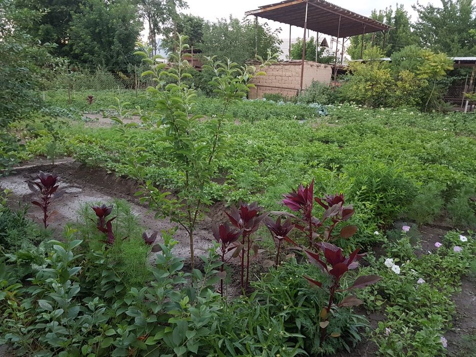 Продам дом в Акыртобе