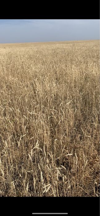 Продам Крестьянское Хозяйство