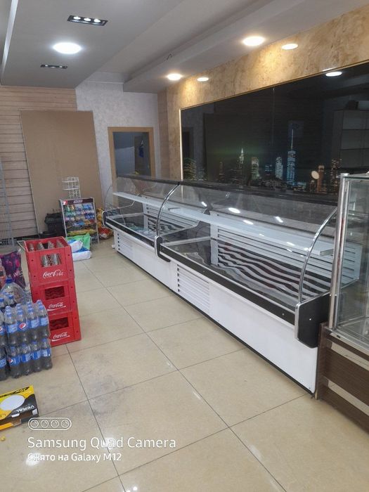 Xaladilnik vitrinniy