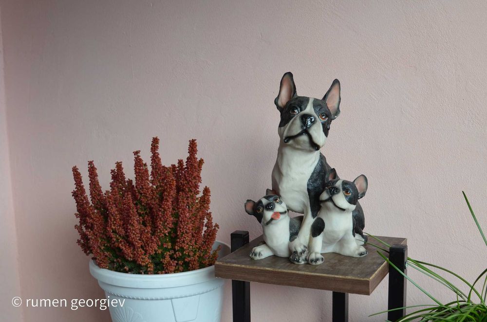 Nikon D5100 + 3 обектива и аксесоари ПРОМО